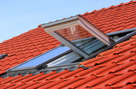Finham roof window